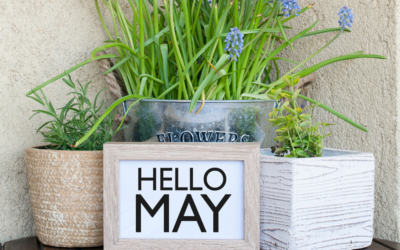 Should You Sell in May and Go Away?