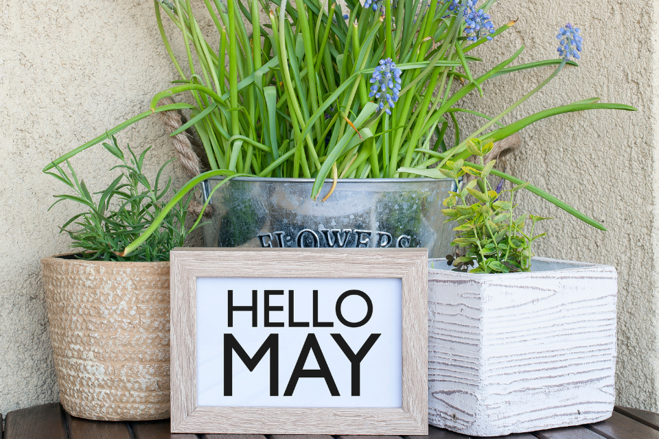 Should You Sell in May and Go Away?